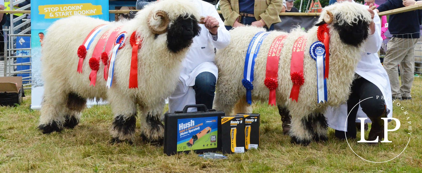 Overall Champion & Reserve 2024 Overall Champion & Reserve 2024