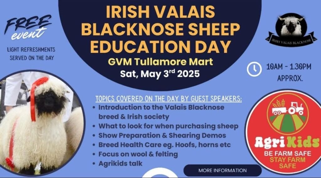 IVBN 2025 Education Day