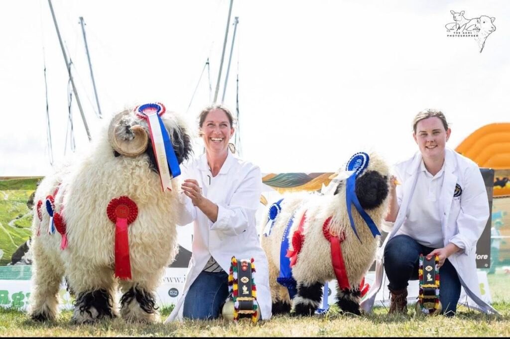 All Ireland Supreme Champion & Reserve